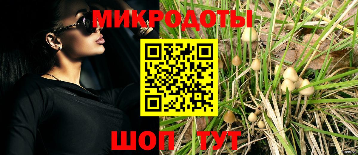 Зеленогорск  Галлюциногенные грибы прущие грибы  Вход с VPN  Псилоцибиновые грибы MAGIC MUSHROOMS 
